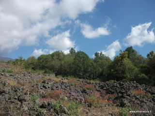 anobello-26-05-2013 09-29-08